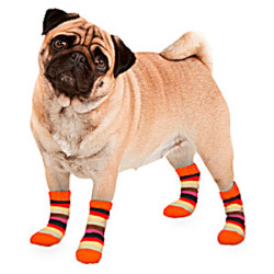 Botte et chaussette Chaussettes chaude antidérapante 1 paire Taille XS pour chien