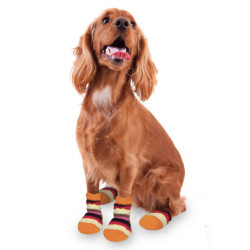 Botte et chaussette Chaussettes chaude antidérapante 1 paire Taille XS pour chien