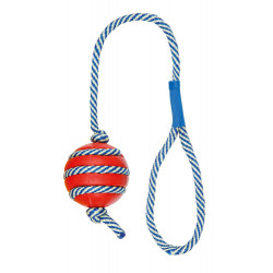 Jeux cordes pour chien Jouet sur corde phosphorescente - couleur aléatoire