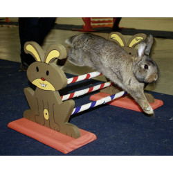 kerbl Agility Kaninhop Hindernis, für Nagetiere und Kaninchen, Größe: 62 cm x 33 cm und 34 cm Nagetiere / Kaninchen