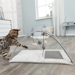 Trixie Esteira de brincar para arranhar gatos 60 × 33 × 42 cm Jogos
