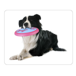 Flamingo Frisbee AMELIA ø 22 cm. juguete para perro Sables para perros