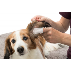 Trixie Dedos para el cuidado de los oídos. para animales .50 piezas Cuidado de las orejas del perro