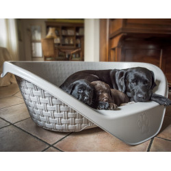 Panier plastique chien corbeille aspect rotin 60 x 44 x 21 cm H pour chien gamme Nido couleur gris clair