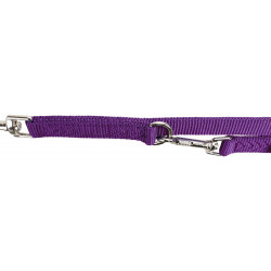 Laisse enrouleur chien Laisse 15 mm x 2 M taille XS-S réglable double épaisseur violet pour chien