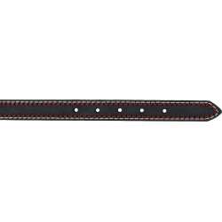 Trixie Collar de cuero. tamaño L-XL. color antracita. dimensión: 52-61 cm/30 mm para el perro. Collar