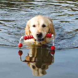 Jeux cordes pour chien jouet aquatique pour chien "MOT-Long" 20 x42 cm Coloris aléatoire