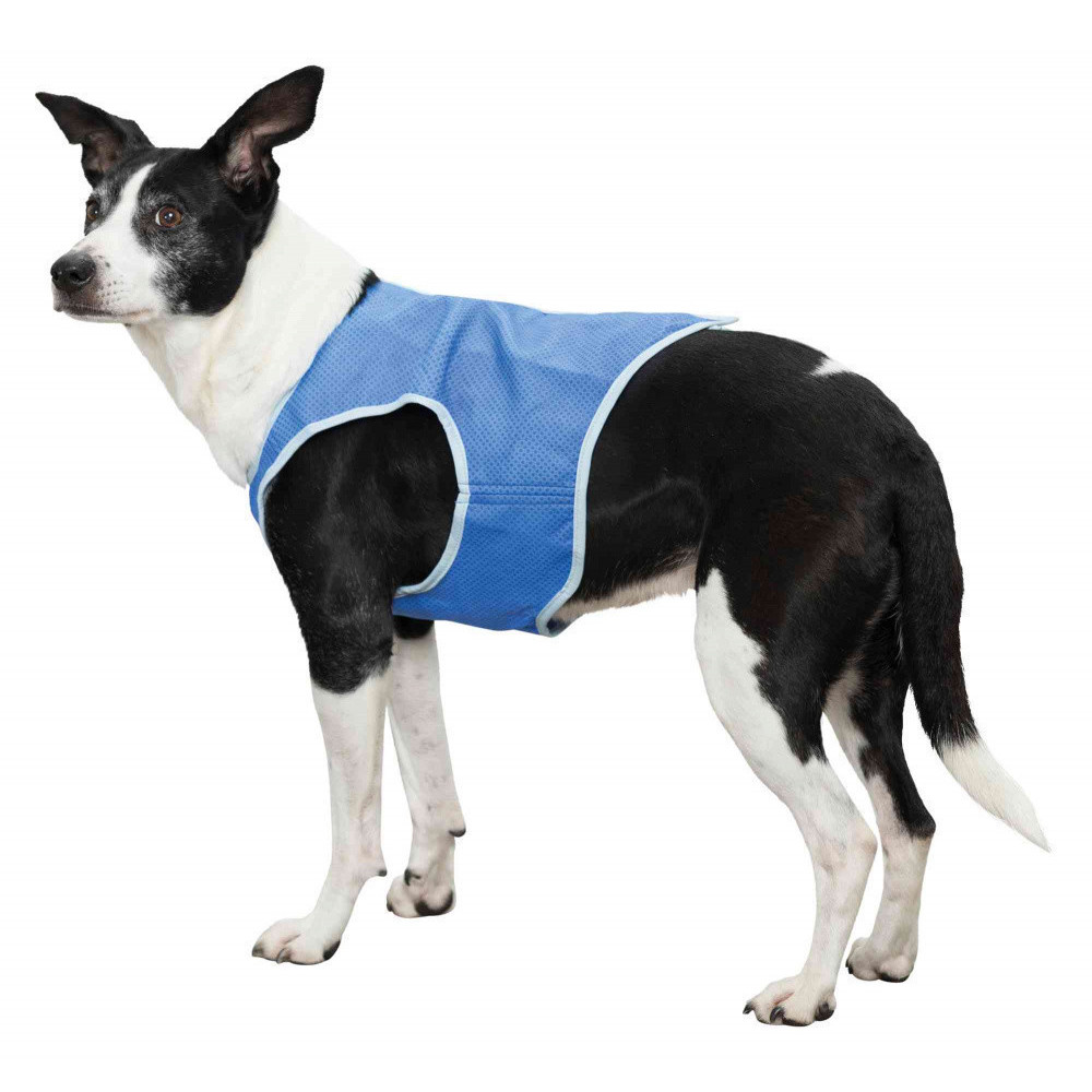 Trixie größe XS Erfrischungsjacke für Hunde. Erfrischend