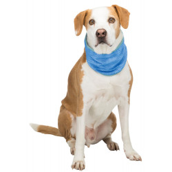 Trixie Refreshing bandana, Size: 47-57 cm, Colour: blue Refreshing