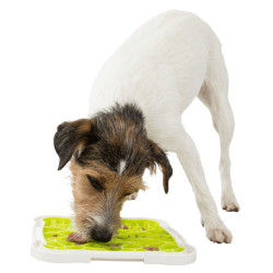 Gamelle et tapis anti glouton Assiette à lécher Lick'n'Snack, pour votre chien.