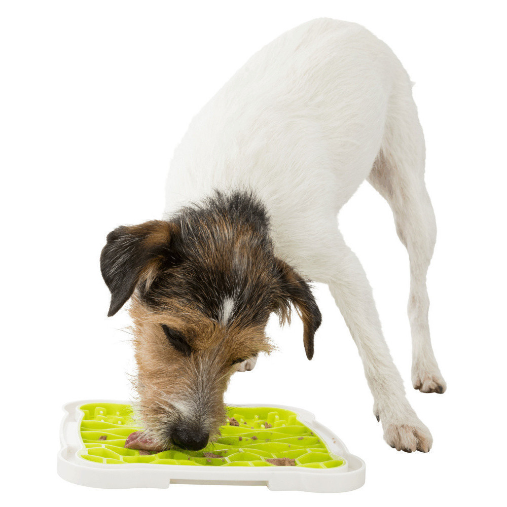Trixie Lick'n'Snack Lick'n'Snack Teller für Ihren Hund. Futternapf und Anti-Fleck-Matte