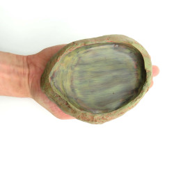 Trixie Alimento para reptiles y agua Tamaño del recipiente 15 × 3.5 × 12 cm H 3.5 cm Tazón