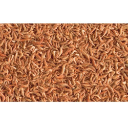 Tetra natural food for all water turtles dried whole shrimps 250ml/20g Food