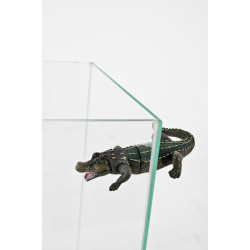 zolux Decoração de crocodilos magnéticos composta por peças para aquários Decoração e outros