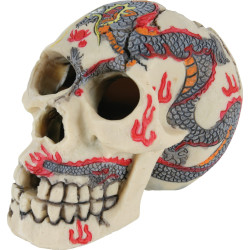 zolux Skull decoration size S ø approx. 7 cm Decoration and other