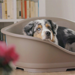 Stefanplast Plastic Sleepper basket 1. 56 x 42 cm lichtroze. voor hond. Plastic hondenbed