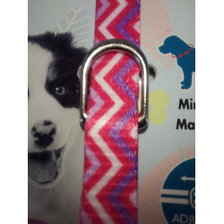 zolux Ketting PUPPY PIXIE. 8 mm .16 tot 25 cm. roze kleur. voor puppies Puppy halsband