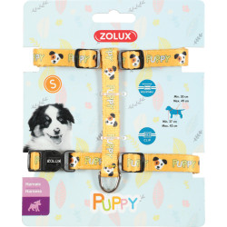 zolux Aprovecha el mascotte del cachorro. 13 mm. de 27 a 42 cm. de color amarillo. para cachorros arnés para perros