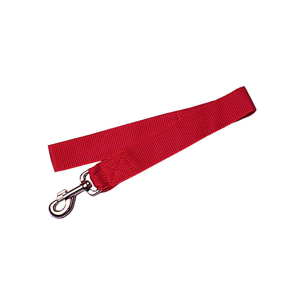 zolux Nylon-Leine XL. Länge 60 cm. rote Farbe. Leine für Hunde Laisse enrouleur chien
