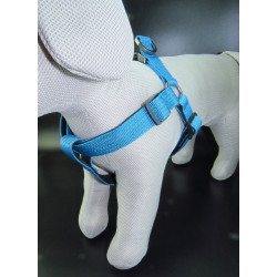 Flamingo Jannu blue harness size M 35-60 cm 20 mm for dogs dog harness
