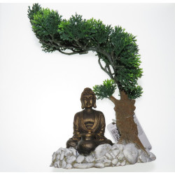 zolux Bonsai Buddha dyfuzor. 14.5 x 12 x 20 cm. dekoracja akwarium Décoration et autre