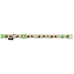 Trixie Verstelbare halsband van 22 tot 33 cm, glow-in-the-dark kleur met riem. kat, puppy halsband en riem