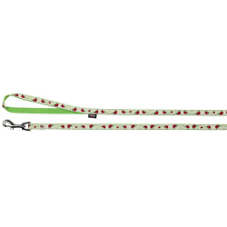 Trixie Collar ajustable de 22 a 33 cm, de color fosforescente con correa. gato, cachorro collar y correa