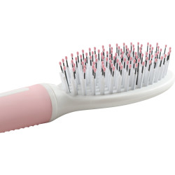 zolux Brush BI material. 21 cm. anah range, for cats Beauty care