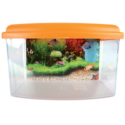 zolux Caja de viaje Aqua II, Pequeña, tamaño 22 x 16 x H 14 cm. para peces. color aleatorio. Acuarios