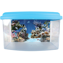 Aquariums Aqua travel box II, Small, taille 22 x 16 x H 14 cm. pour poisson couleur aléatoire.