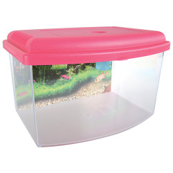 zolux Aqua-Reisebox II, Small, Größe 22 x 16 x H 14 cm. für Fische. zufällige Farbe. Aquarien