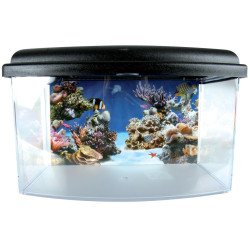 Aquariums Aqua travel box II, Médium, taille 28 x 20 x H 17 cm, pour poisson. couleur aléatoire.