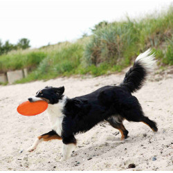 Trixie Frisbee. Disco para cães, TPR, flutuante para cães. ø 22 cm. Cores: aleatórias. Brinquedo de cão