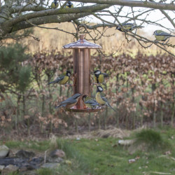 Esschert Design Alimentador de sementes revestido a cobre. Altura 30,5 cm. para pássaros. Alimentador de sementes