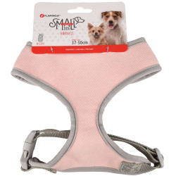 Flamingo Szelki dla małego psa różowe M, szyja 35 cm, korpus regulowany od 37 do 50 cm dla psów harnais chien