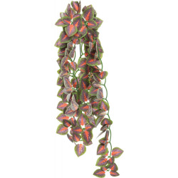 Décoration et autre Plante en tissu à suspendre, Folium Perillae, pour reptiles. 50 cm.