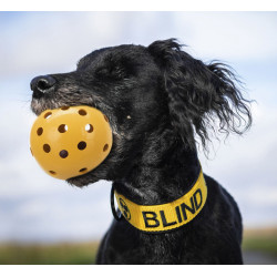 Jouet pour chien Balle avec trous, spécialement pour les chiens malvoyants et aveugles