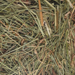 Flamingo Mountain hay with nettles 500 g for rodents Rodent hay