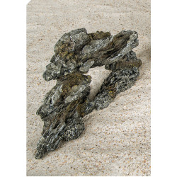 Vadigran Madeira fóssil 34 x 10 x16 cm . decoração de aquário. Decoração e outros