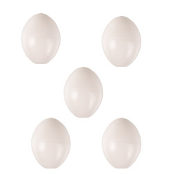 animallparadise 5 Eieren voor parkiet, kunststof. Accessoire