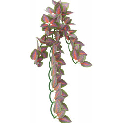 Décoration et autre Plante en tissu à suspendre, Folium Perillae, pour reptiles. 30 cm.