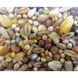 zolux Premium mix semi . mondato 2,5 kg . per gli uccelli Cibo per i semi