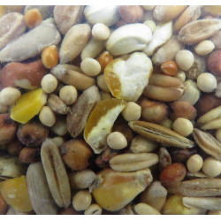 zolux Semillas mixtas de primera calidad . descascarilladas 2,5 kg . para pájaros Alimentos para semillas