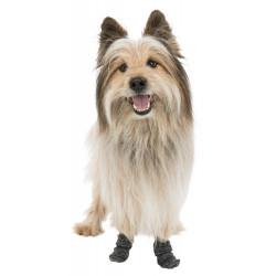 vêtement chien Chaussettes antidérapantes taille XL, pour chiens.