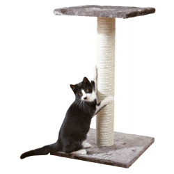 animallparadise Albero per gatti, 40 x 40 cm, altezza 69 cm, Espejo, colore grigio platino. Albero per gatti