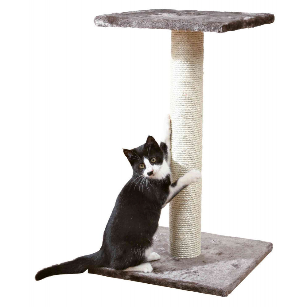 animallparadise Árbol para gatos, 40 x 40 cm, altura 69 cm, Espejo, color gris platino. Árbol para gatos