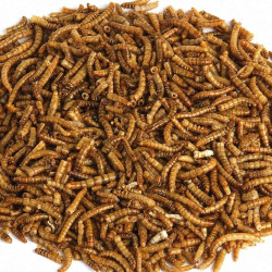 Trixie Larvas de verme de farinha seca 70 gr. Petiscos e suplementos