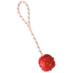 Jeux cordes pour chien Jeu aquatique Balle sur corde, Dimensions: ø 4,5/35 cm, couleur aléatoire, pour votre chien.
