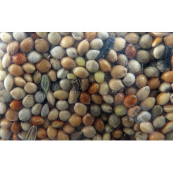 animallparadise Nutrimeal Sittich-Samen - 12kg für Vögel Sittiche und Großsittiche