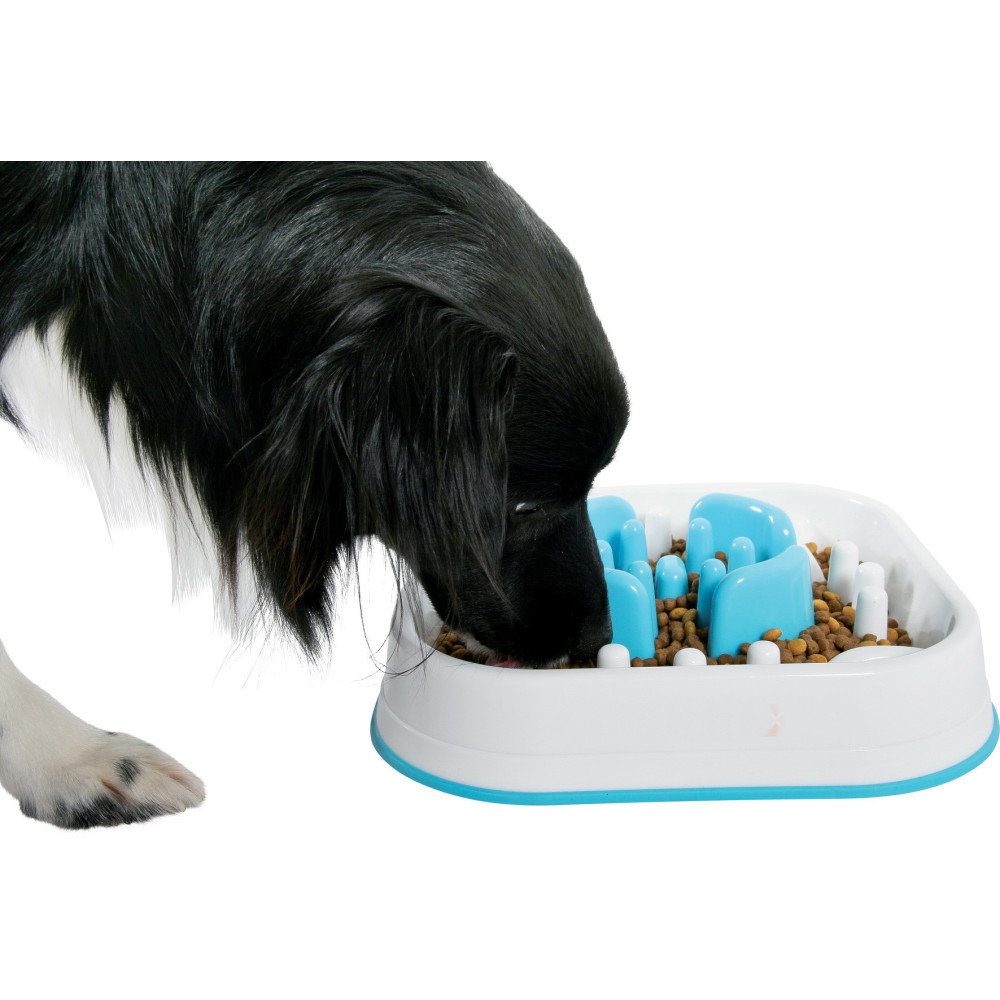 animallparadise Cuenco cuadrado para perros, 28 x 28 x 6,5 cm. Recipiente para la comida y alfombrilla antiglotona
